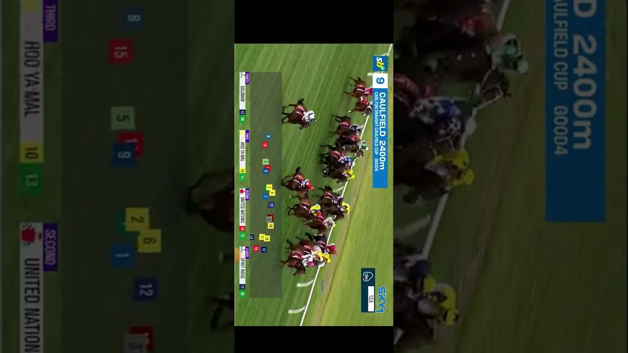 WITHOUT A FIGHT - Caulfield Cup 2023(G1) Group 1 Caulfield 21 October