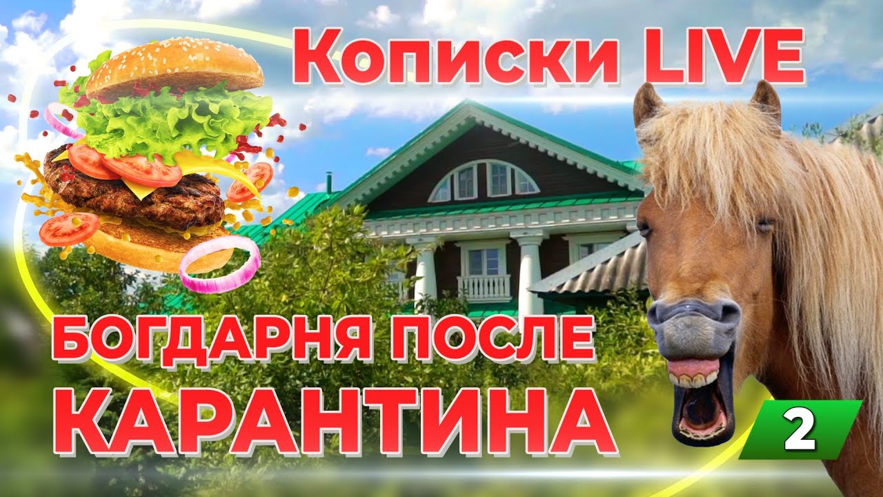 Бургеры от Васи Кописки / Конный спорт / Старинная усадьба / Богдарня после КАРАНТИНА / 2-я серия