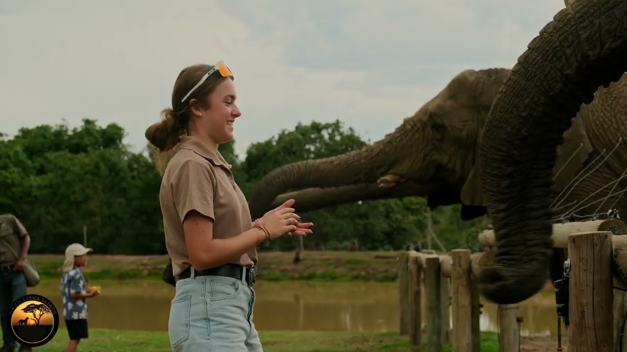 Majeje Africa Safaris | Where Wild Stories Are Born