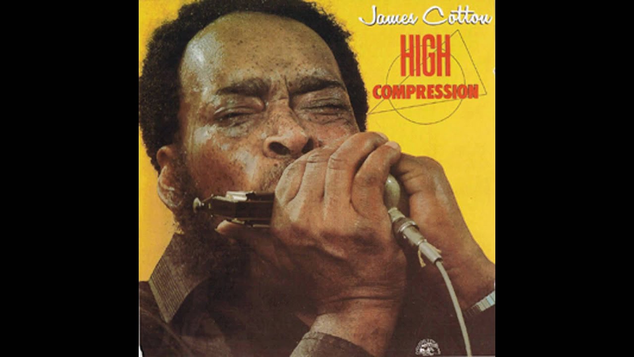 James Cotton - Diggin' My Potatoes