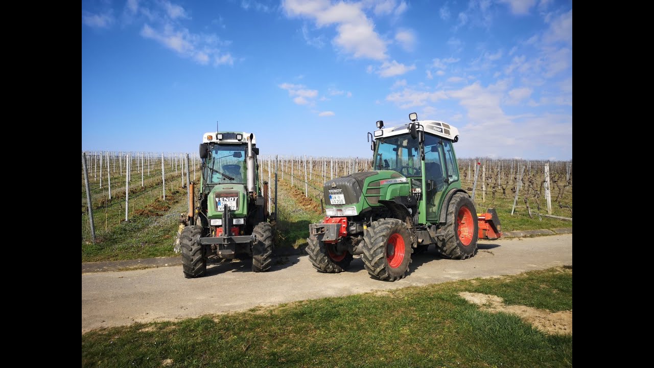 Fendt 200v Vario mit Braun Rollhacke & Häcksler | Maschinelle Unkrautbekämpfung [Weinbau in Franken]