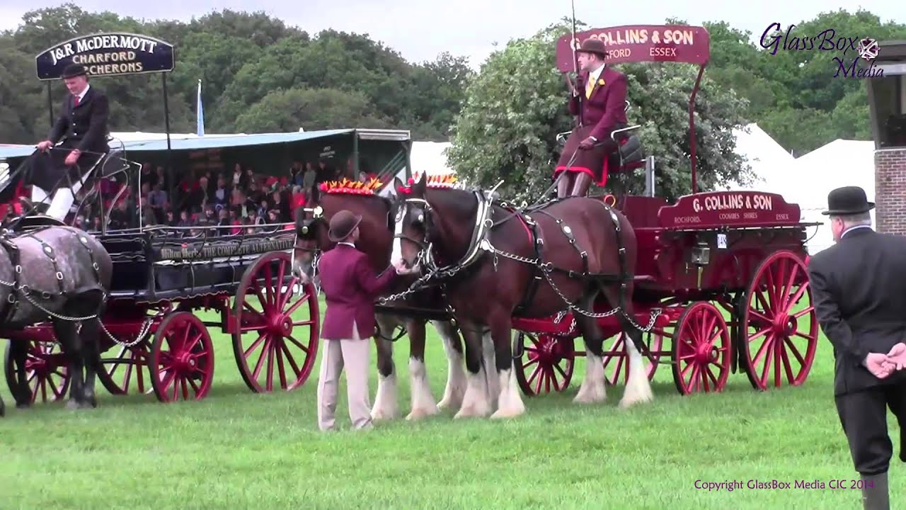 Suffolk Show 2015   Suffolk Punch and Heavy Horses