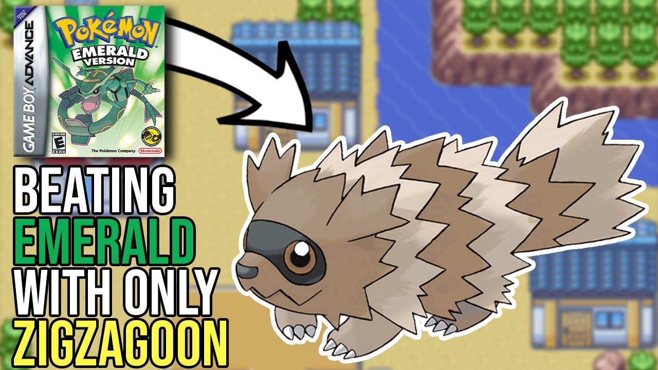 Can you beat Pokemon Emerald with ONLY a Zigzagoon?
