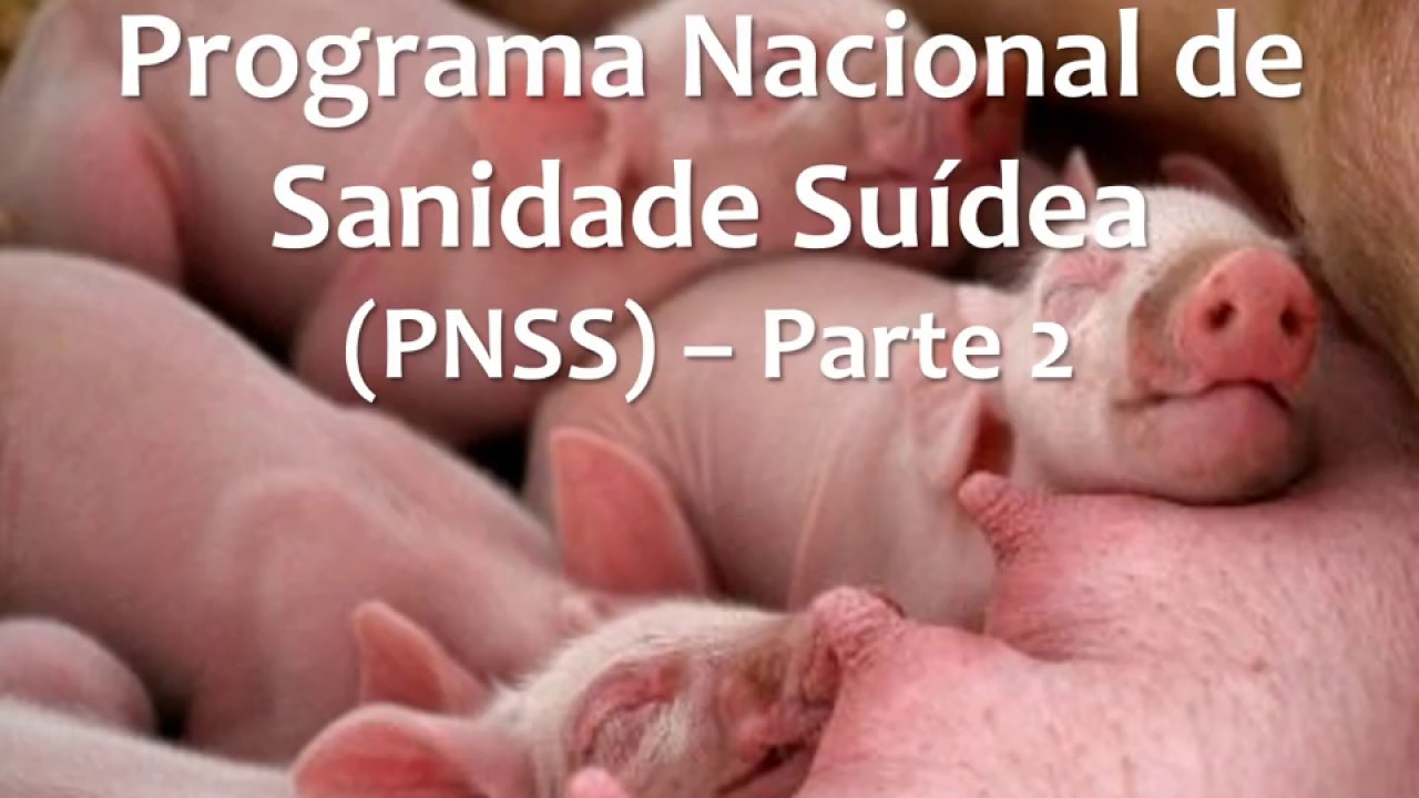 Programa Nacional de Sanidade Suídea (PNSS) - Parte 2