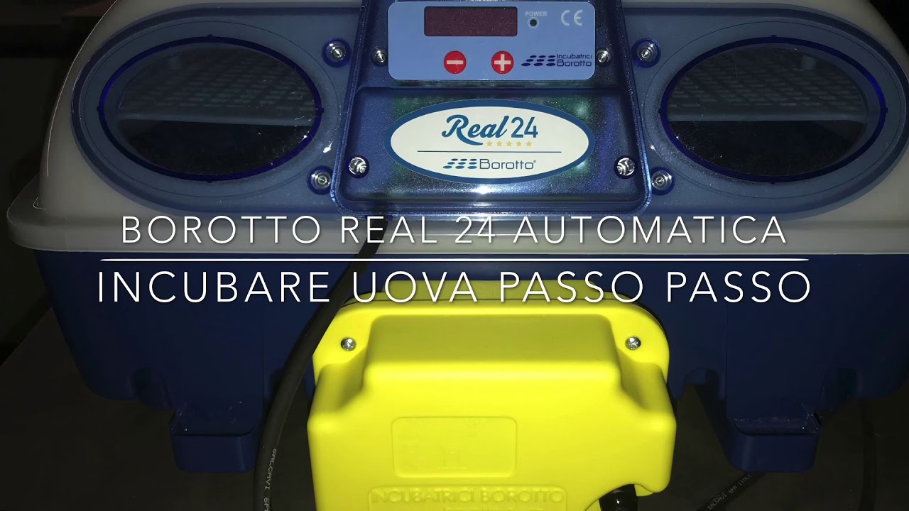 Come incubare uova - Real 24 automatica Borotto