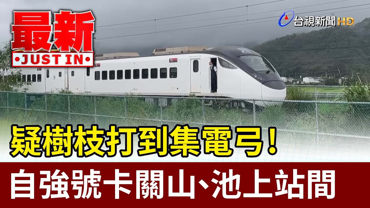疑樹枝打到集電弓！ 自強號卡關山、池上站間【最新快訊】