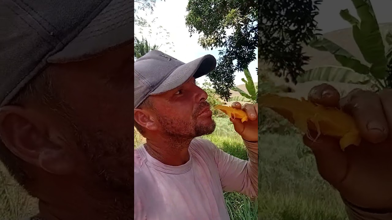 26 de fevereiro de 2026