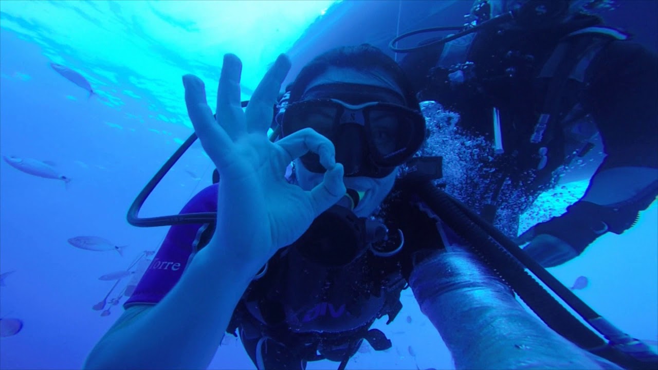 Zinobia Dive