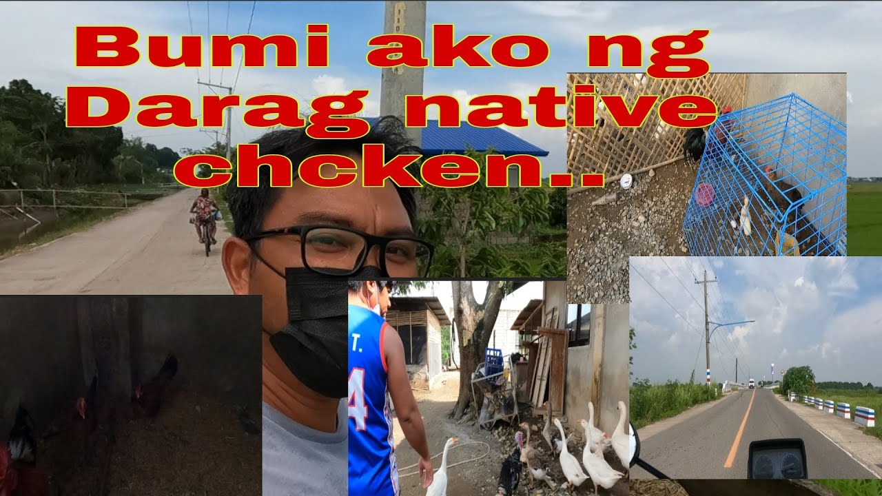 Bili tayo ng Darag Chicken | Adventure tayo, chicken hunting...