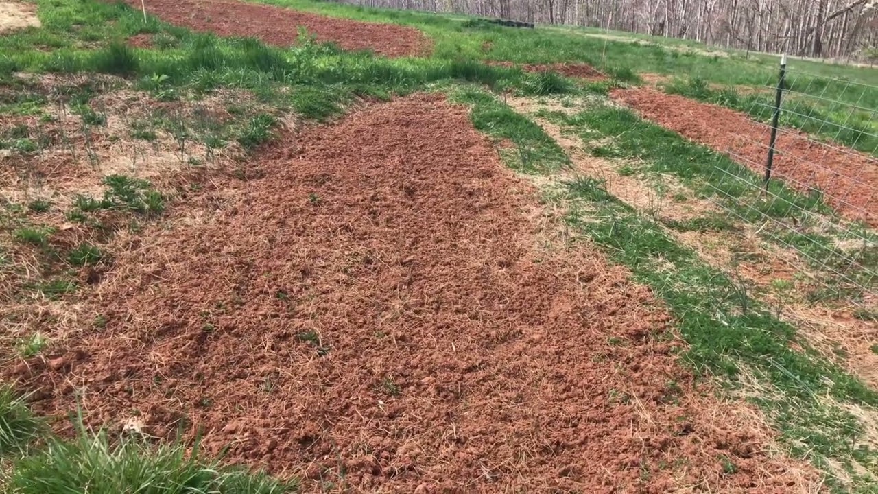 Growing an Organic Garden on Slopes in Your Backyard