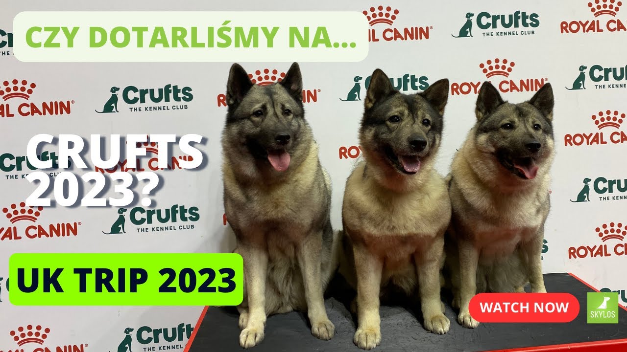 Co łączy ciągnik, wystawę i wspinanie? - UK Trip 2023 - część 2