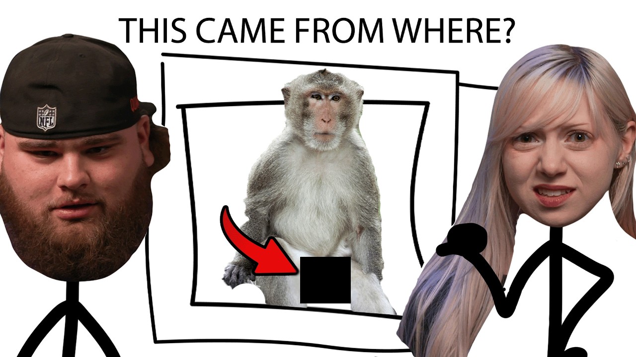 Phrases With The STRANGEST Origin Stories