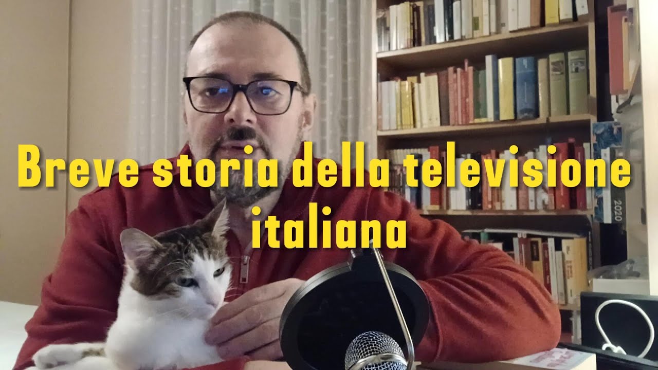 Breve storia della televisione italiana