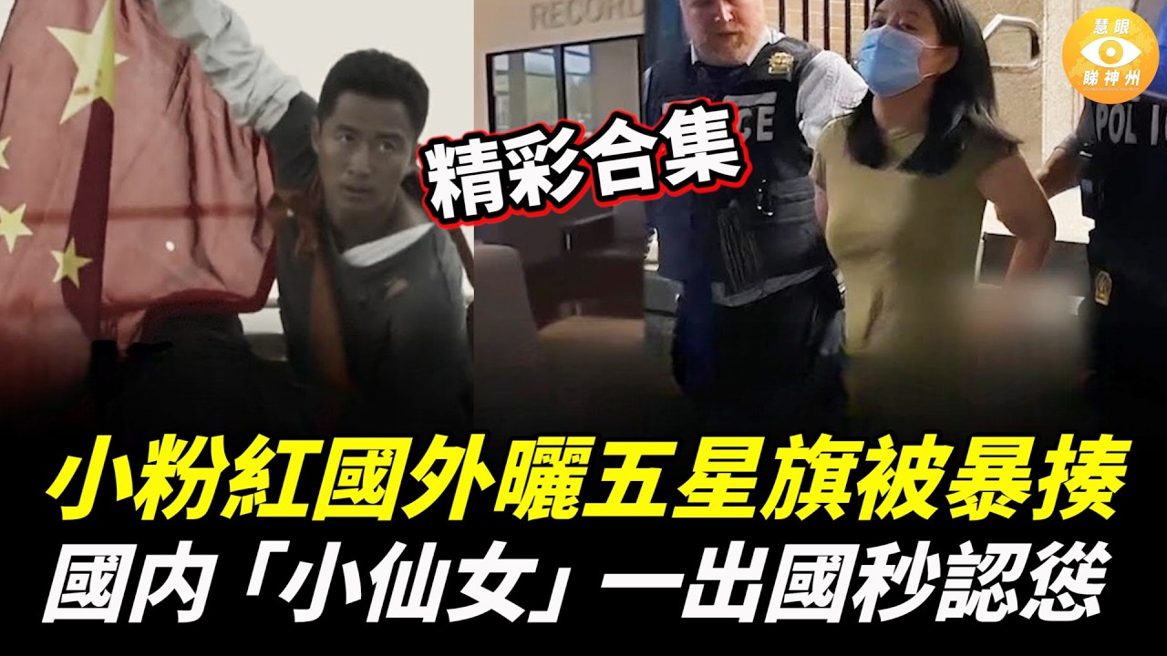 【精彩合集】小粉紅國外曬五星旗，被當地大漢暴揍；國内「小仙女」一出國，秒認慫！
