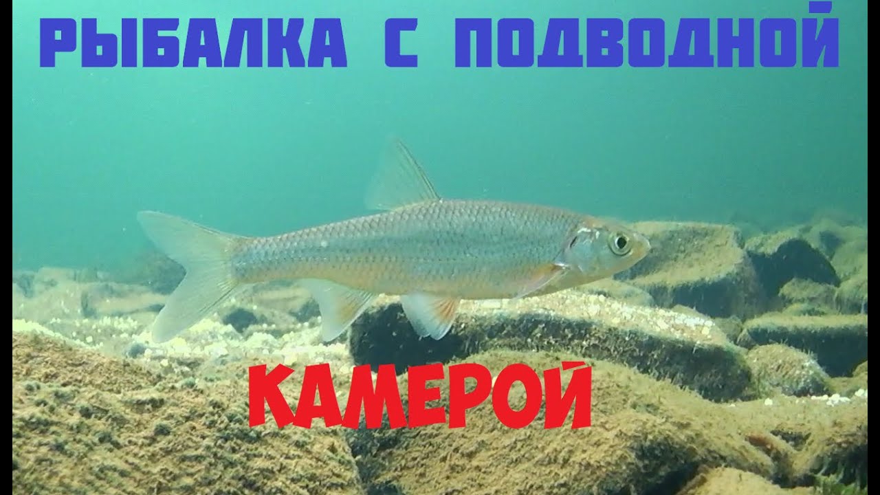 Зимняя рыбалка на Сибирской реке/Тест камеры Язь-52-компакт 9