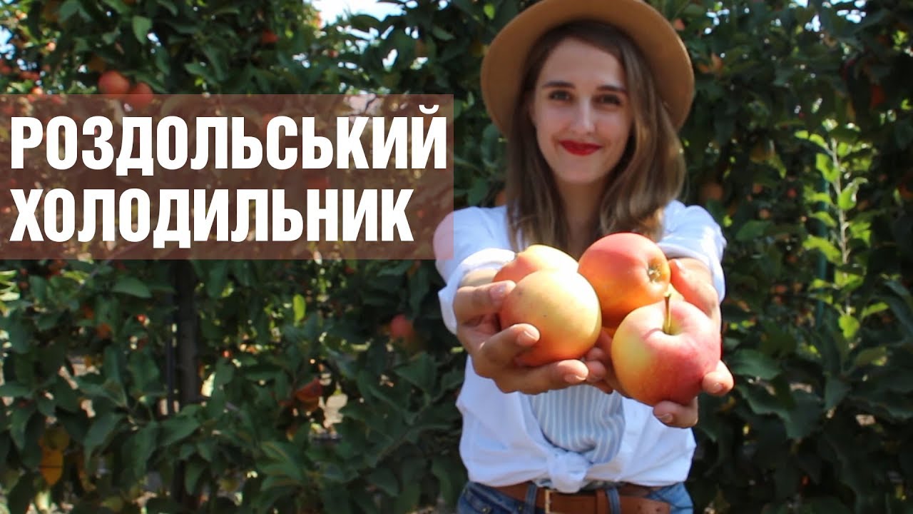 ФЕРМА: роздольський холодильник