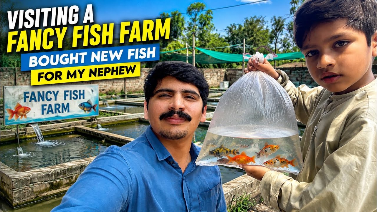 Amazing Fancy Fish Farm Tour 🐠 | Bought Cute Fish for My Nephew | AB Vlogs | Azeem Bhatti