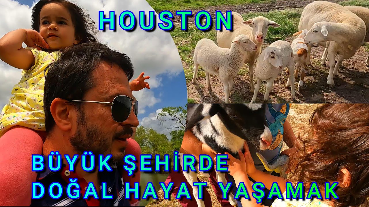 Texas'ta Bir Çiftlik Gezdik, Metropol Şehirde Köy Hayatı, Houston USA