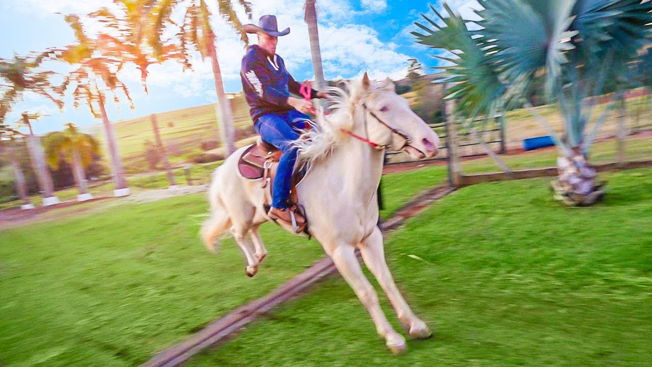 MEUUU CAVALO NOVO CHEGOU NA FAZENDA BLACK-STONE !!! 🐴🤠