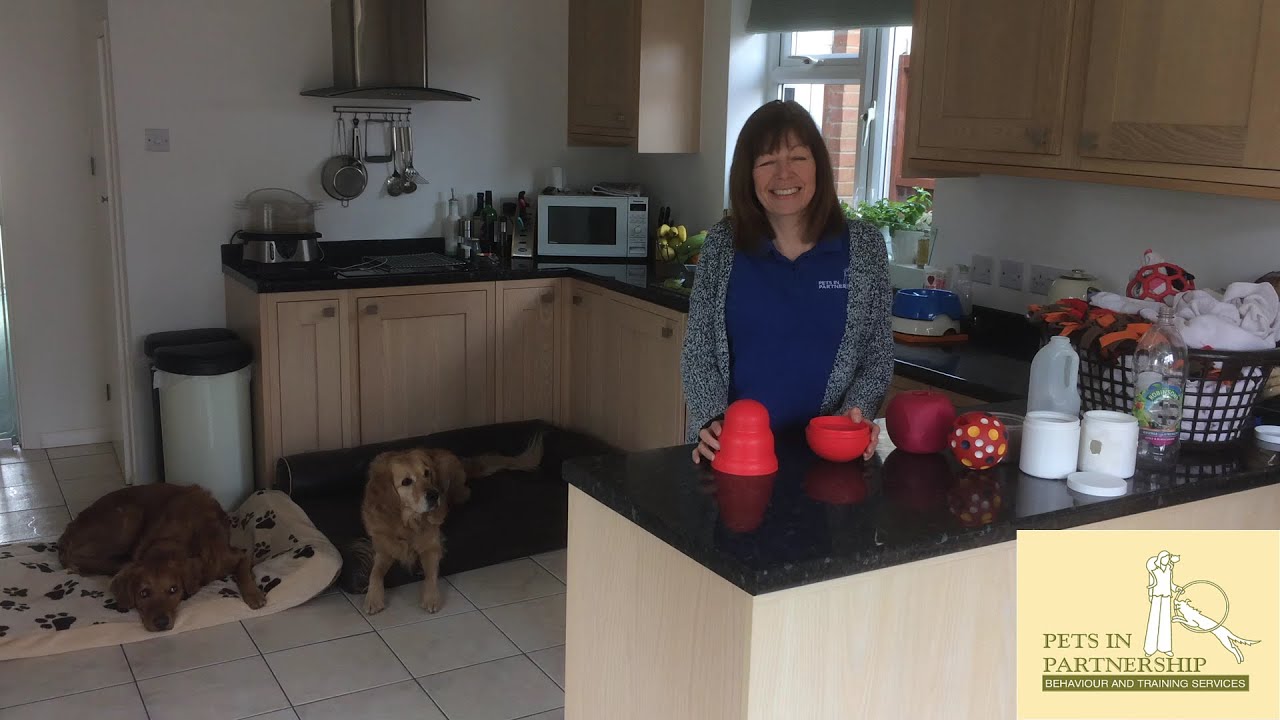 Pets In Partnership - Stimulation using mealtimes - home made 'wobblers'
