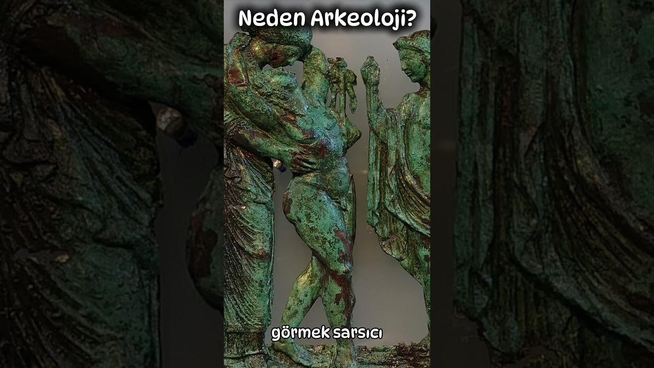 Doğavegezicom yayınları