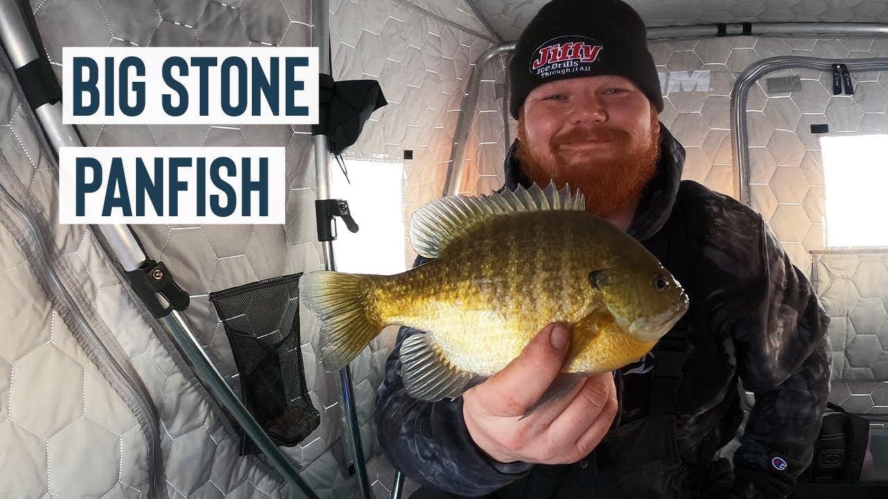 Big Stone Lake Panfish