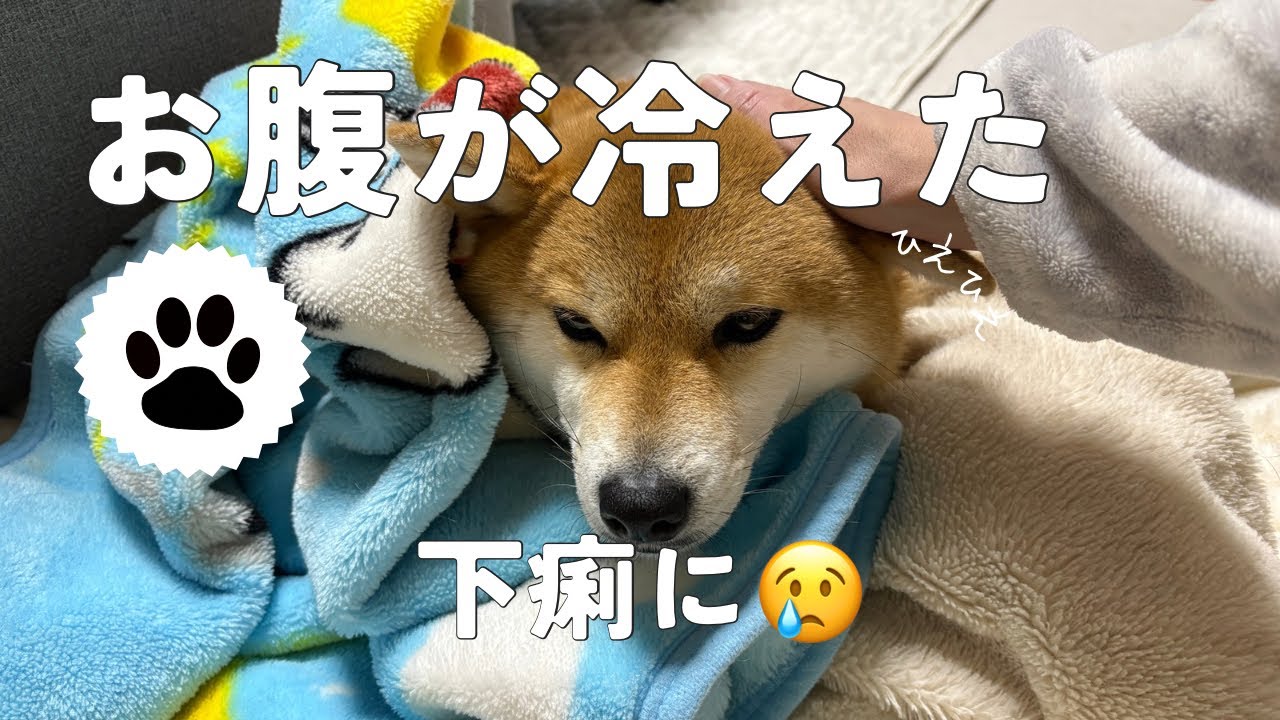 お腹を壊して大変😢