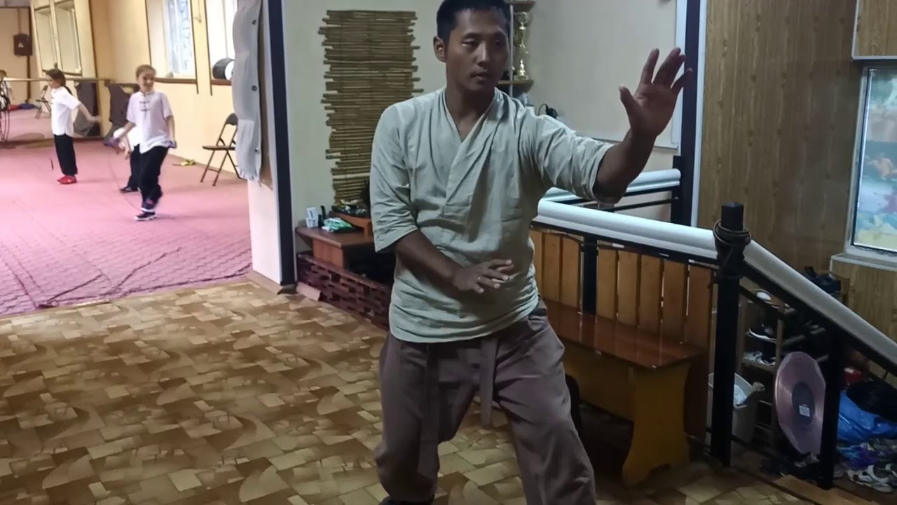 车派形意拳Che style xingyiquan
