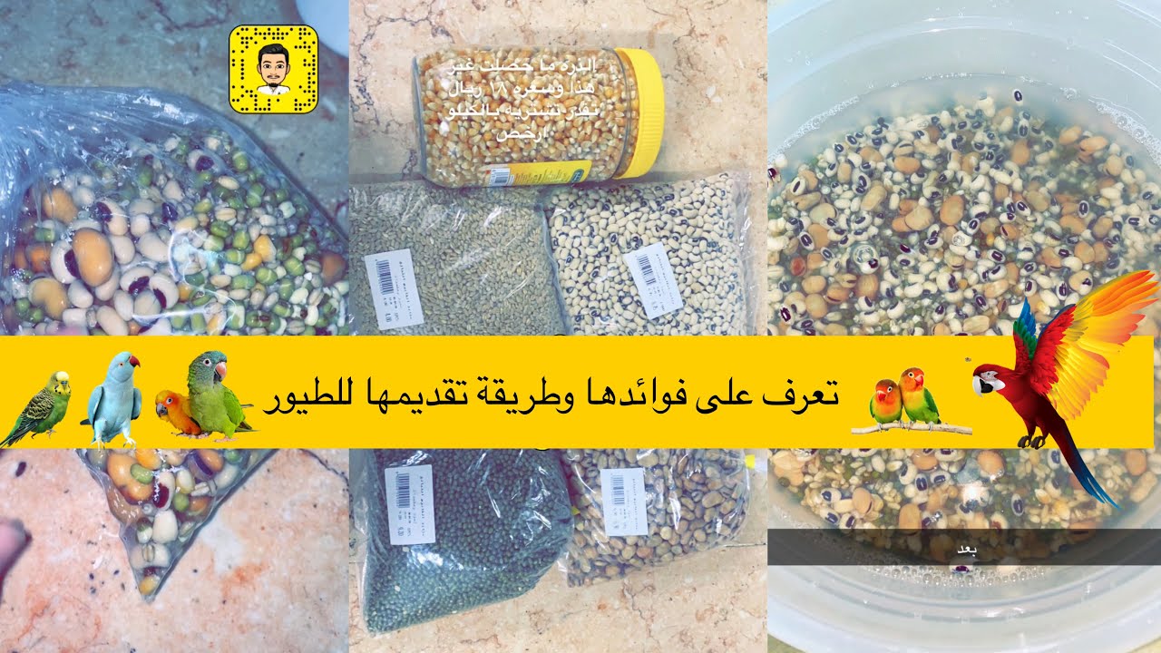 طريقة عمل المنقوع والمكونات وتقديمه للطيور وفوائده المذهله