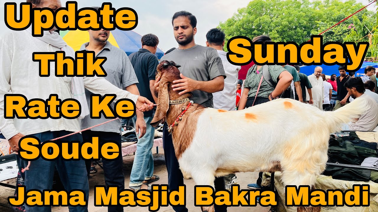 Jama masjid bakra mandi update || Thik rate ke soude
