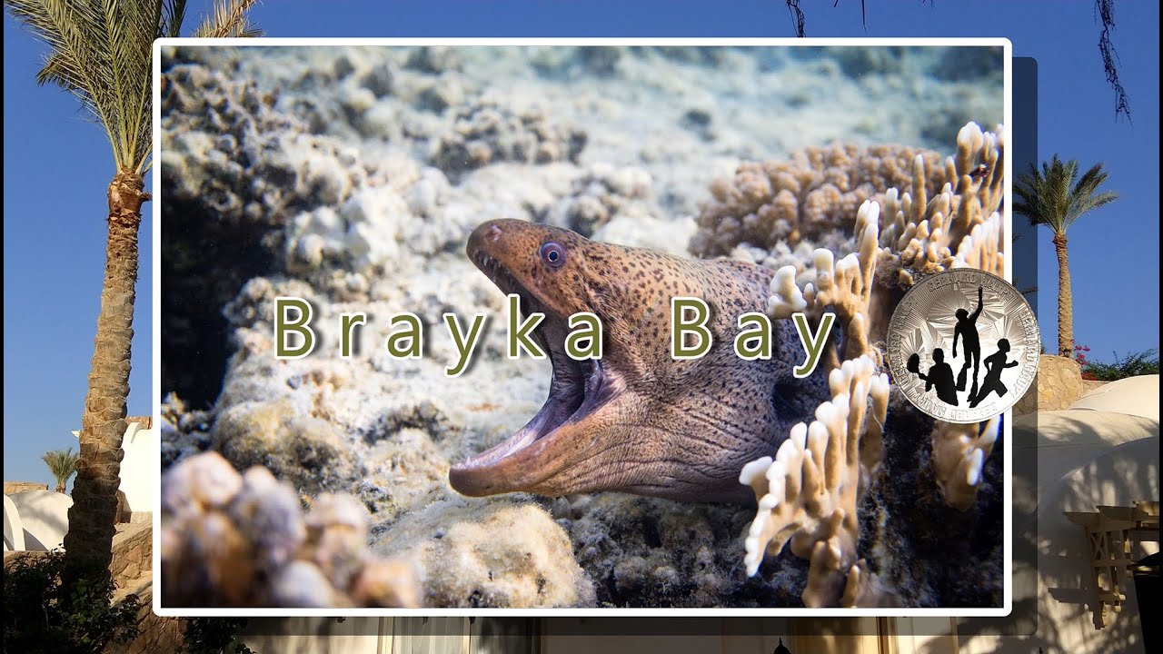 Egypt 2017 - Brayka Bay - Marsa Alam  - schnorcheln und freitauchen