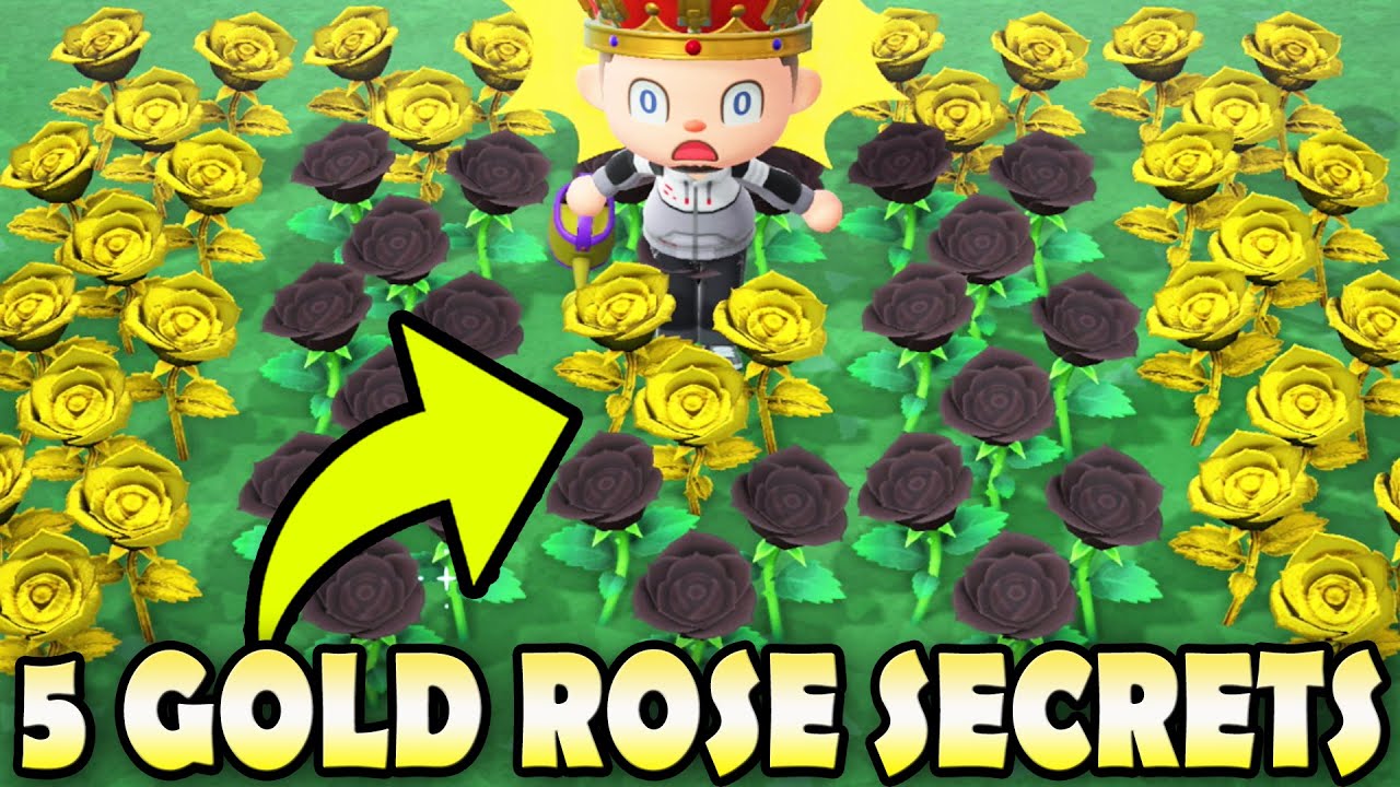 🌹 5 SECRETS About Gold Roses That YOU NEED TO KNOW In Animal Crossing New Horizons!