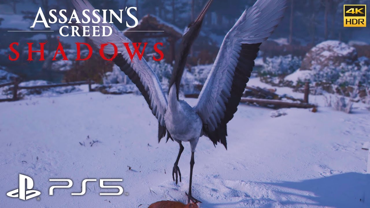Assassin's Creed Shadows - Where & How to Find Legendary Red-crowned Crane (Sumi-e Painting)
