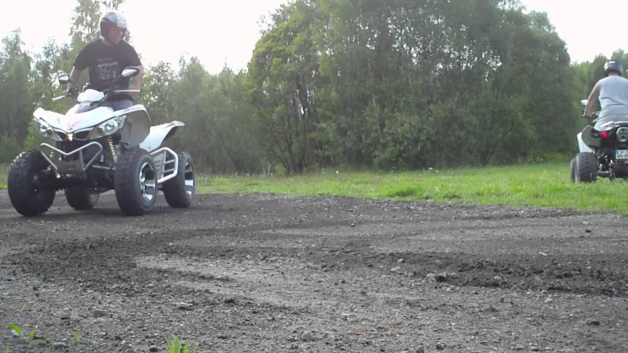 kymco maxxer vs tgb target