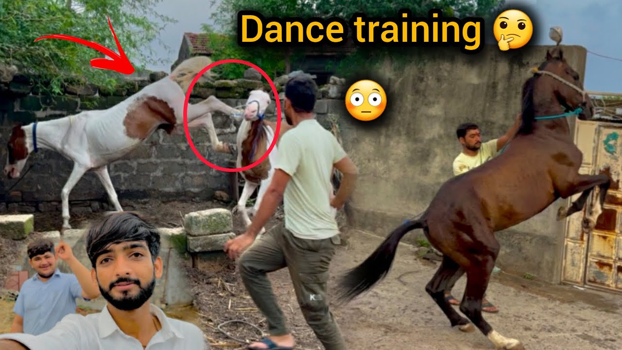 Aaj to 2 GHODE k bich me bahot JORO ki FIGHT hogyi 😡💪