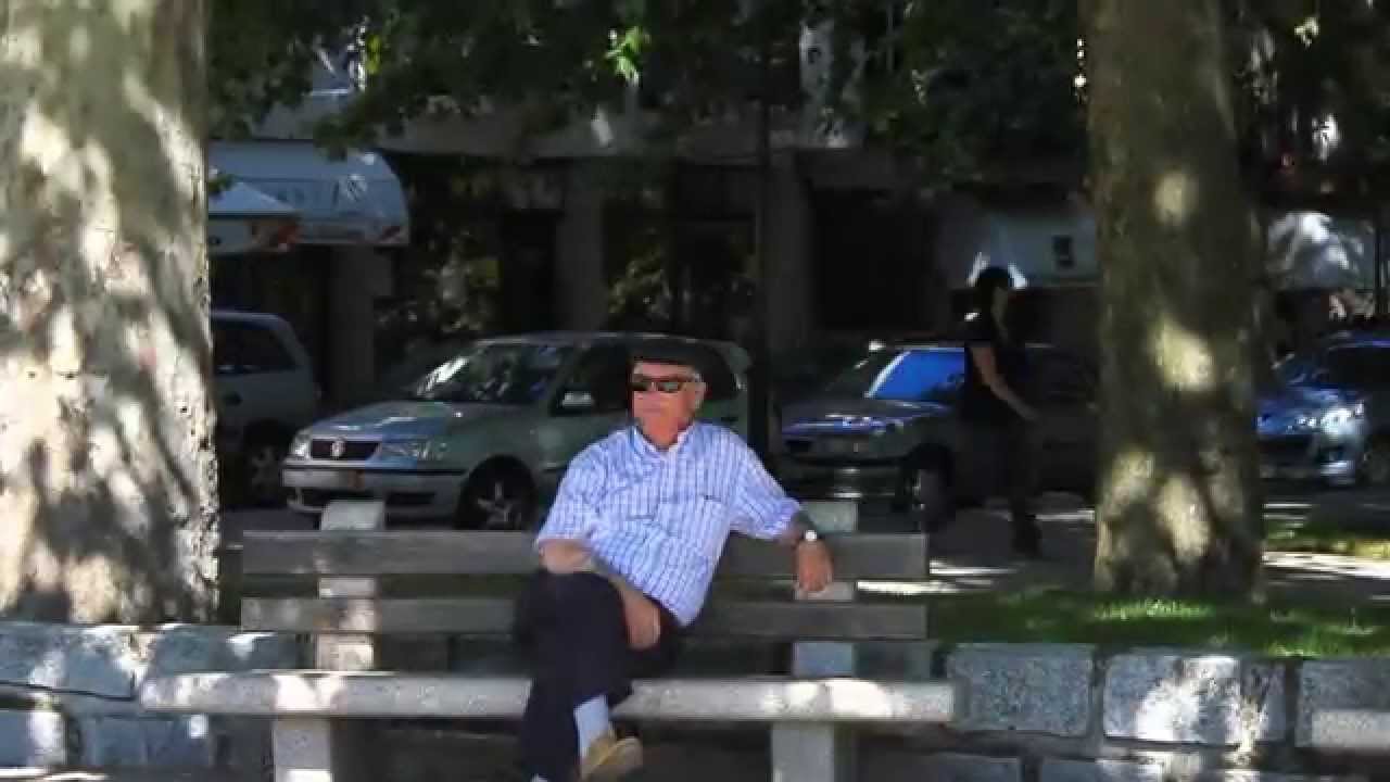Alijó