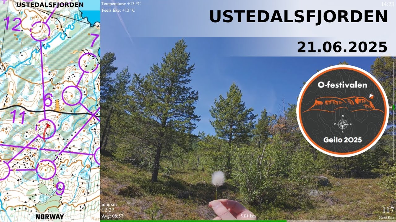 Headcam Orienteering: Ustedalsfjorden, Geilo, Norway. O-Festivalen, middle.