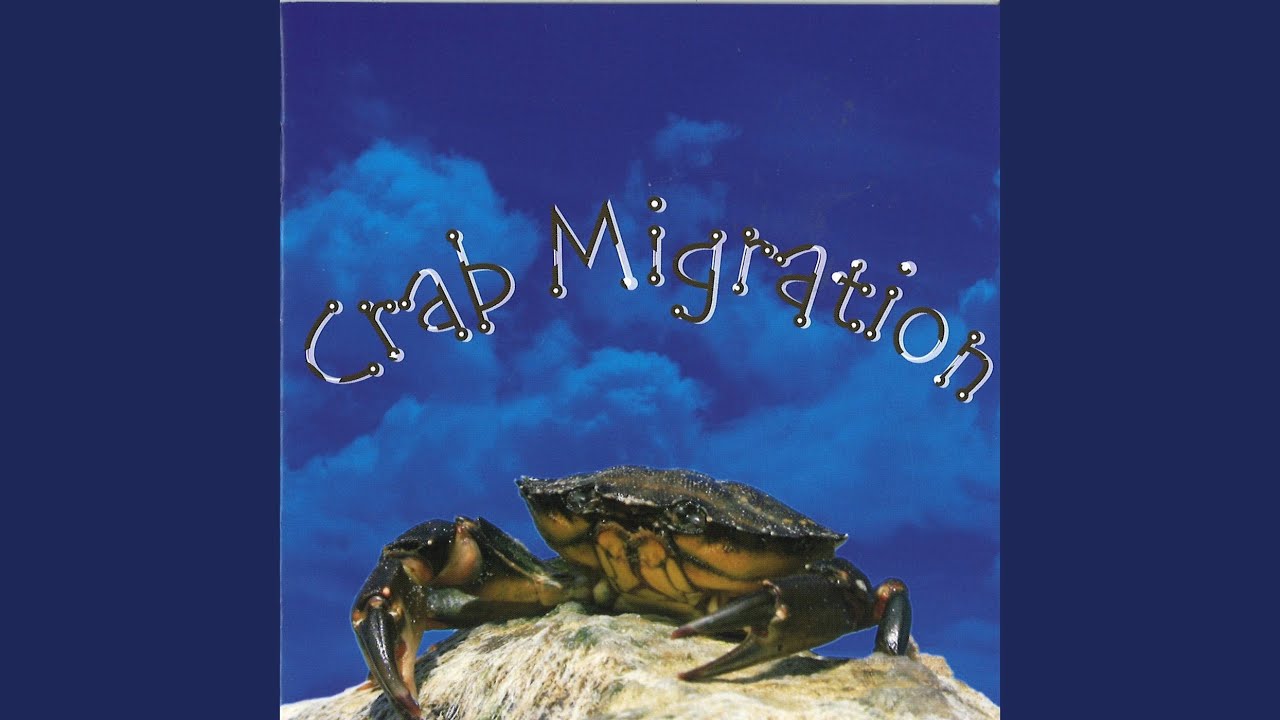 La Cambiale Di Matremonio (Arr. by Geert Schrijvers)