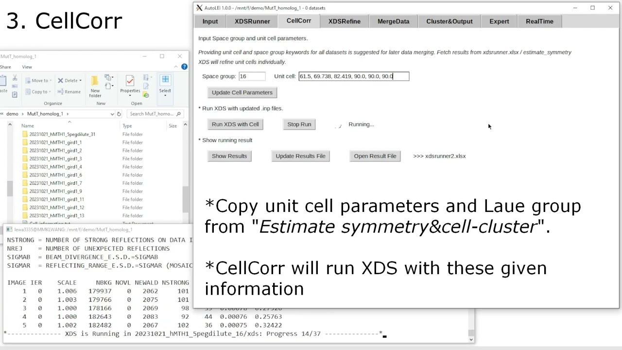AutoLEI – a pipeline for 3D ED/microED data processing