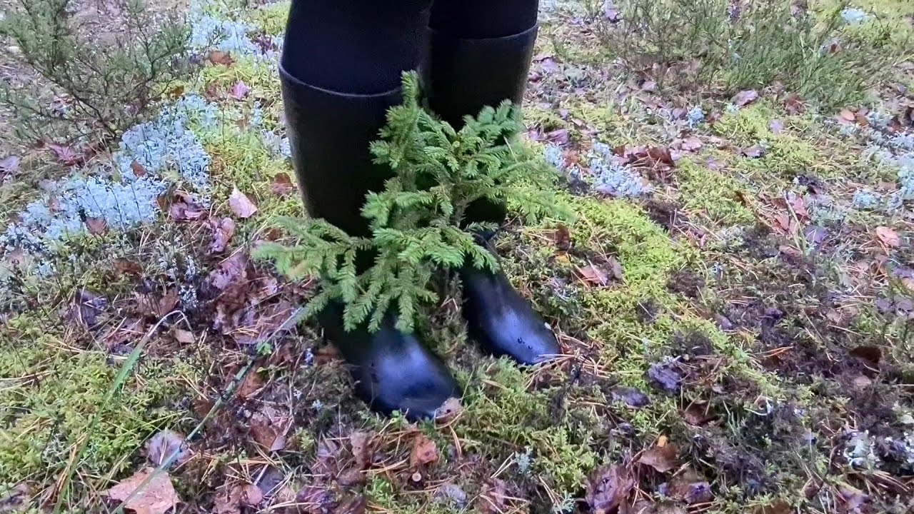 Nokia Lena schwarz Wald
