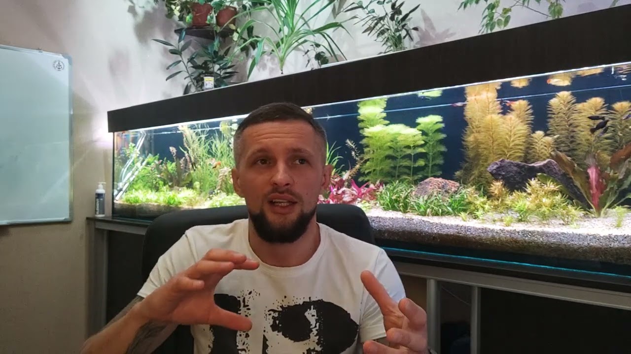 Фильтрация в аквариуме, как это происходит / рубрика для новичка!