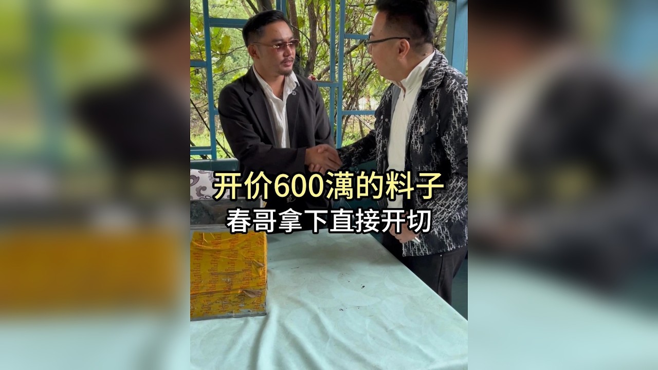 开价600澫的料子，春哥拿下直接开切！