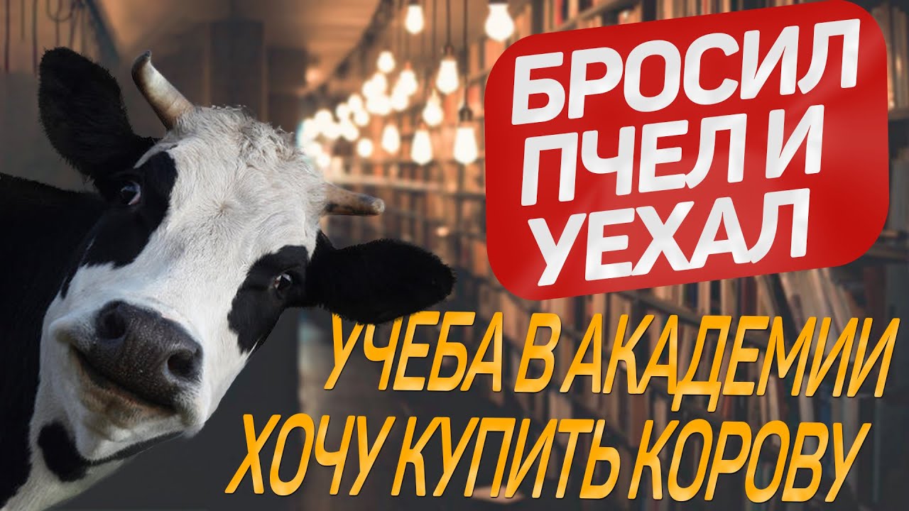 Опять студент/школа фермера/хлопоты на пасеке/суета на даче