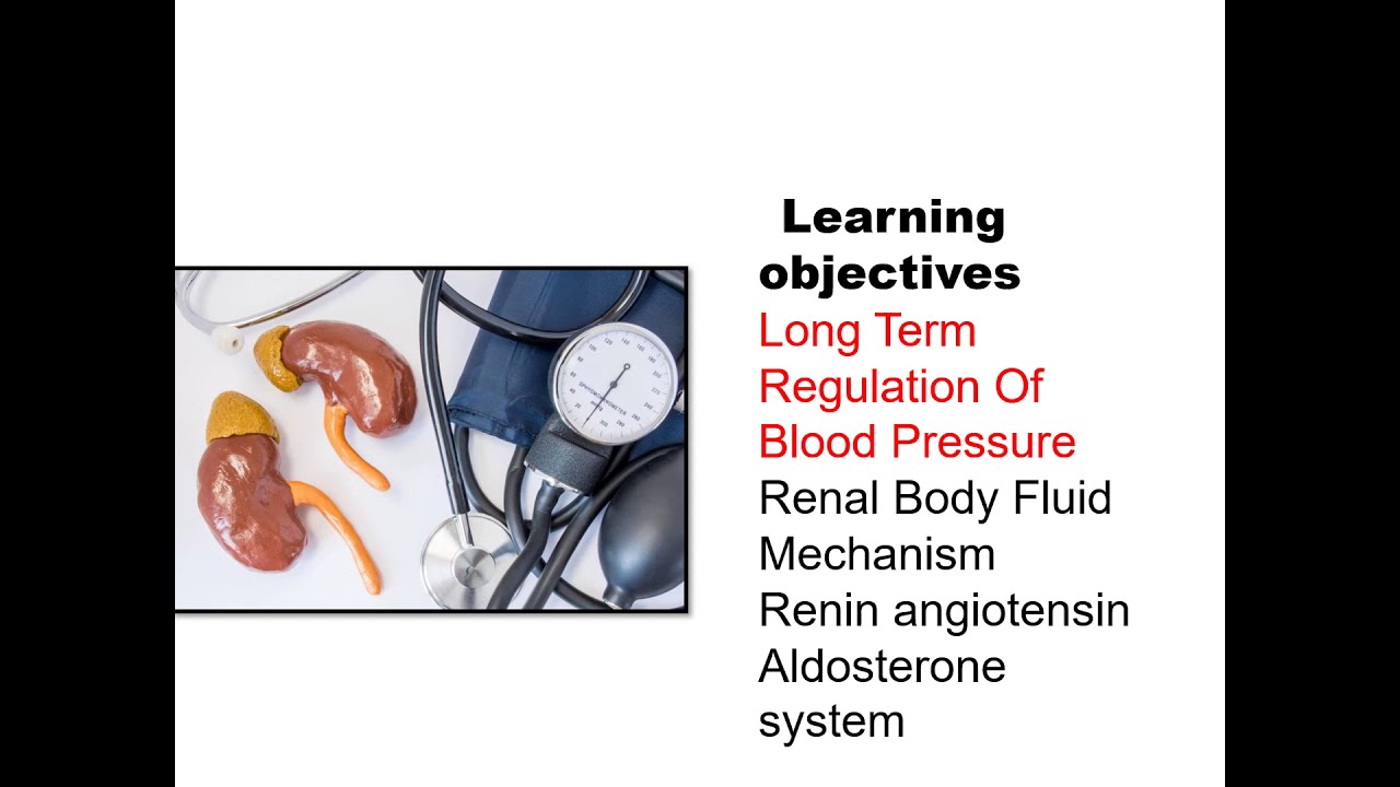 Longterm BP Regulation