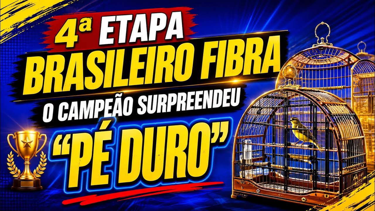 Como é o CAMPEONATO DE FIBRA: Marquei o CAMPEÃO na 4ª etapa do campeonato BRASILEIRO da FOB