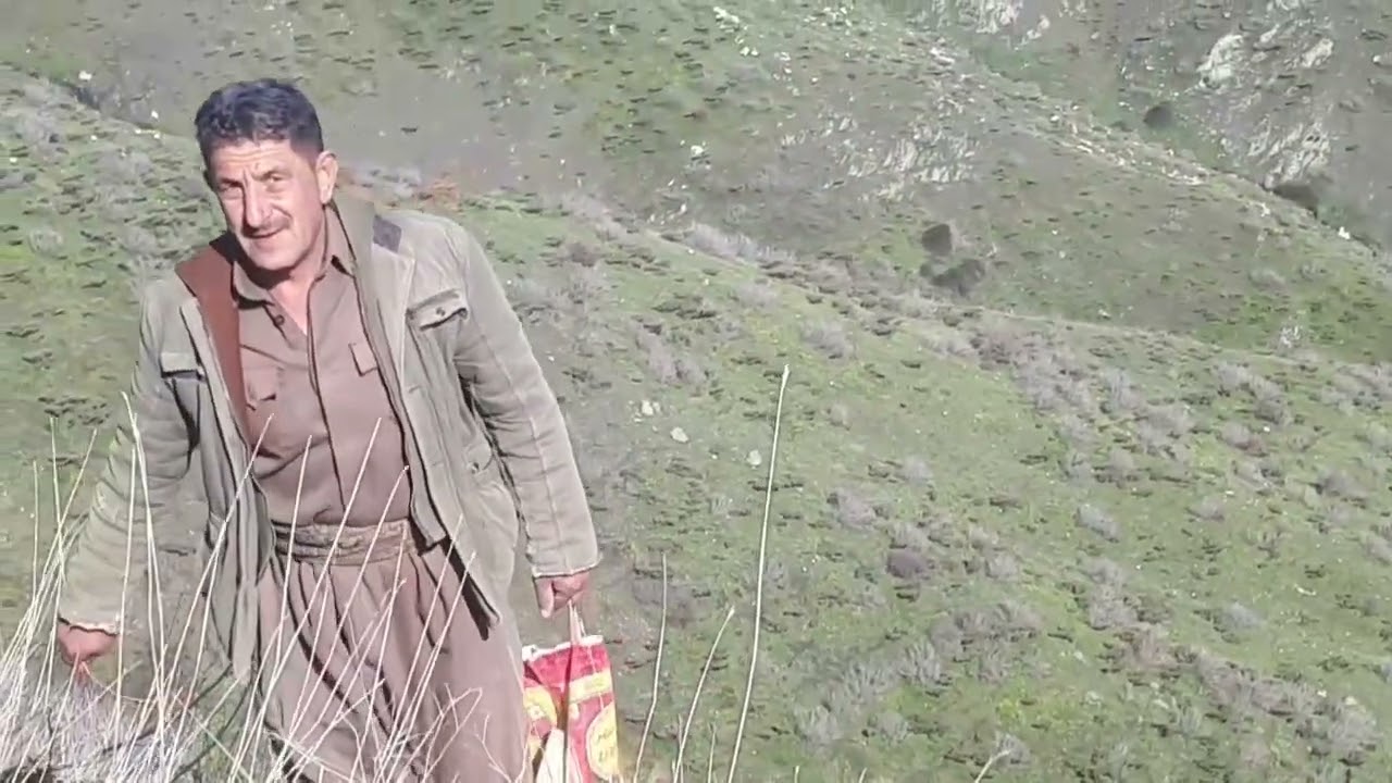 گەڵۆ،  نەمر ڕەسوڵی نادری ، دیمەنی بەهاری