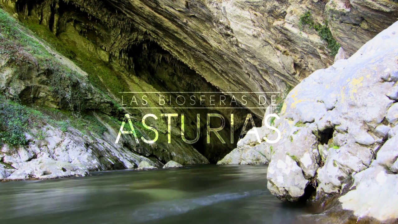 Asturias, Reserva de la Biosfera
