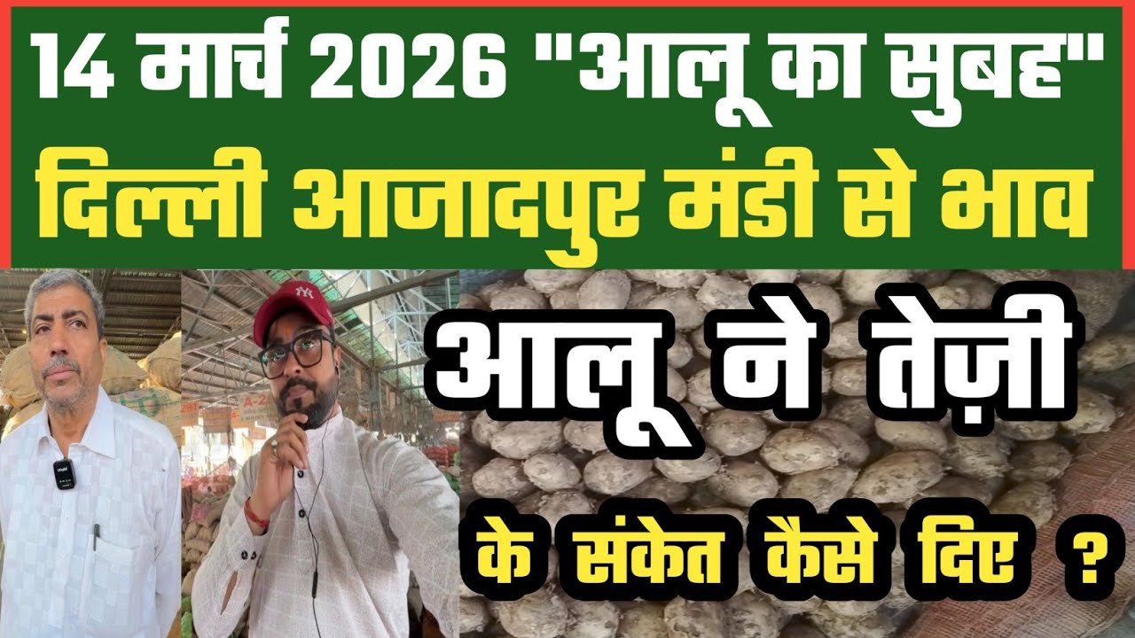 आलू का भाव क्या पक्का उठेगा ? 🤔 Azadpur Delhi Mandi Today में 14-03-2026 के Potato Price DMT TV