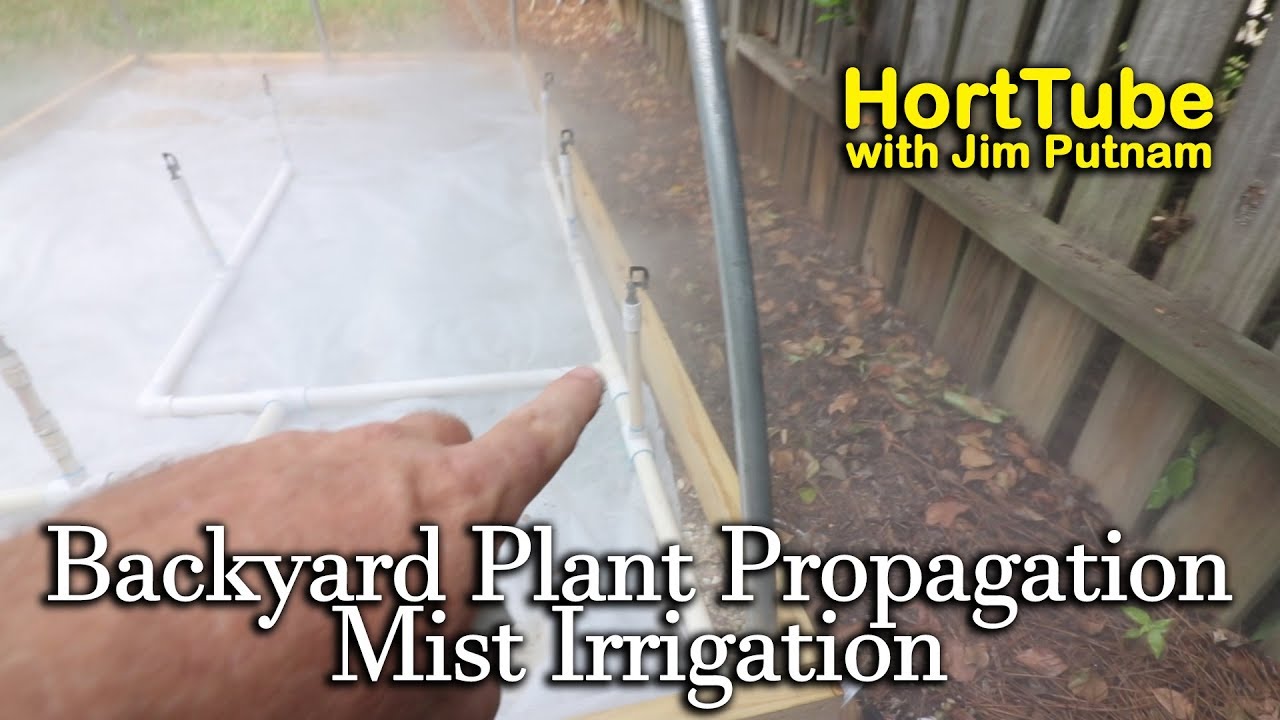 Backyard Plant Propagation 2 - Mist Irrigation
