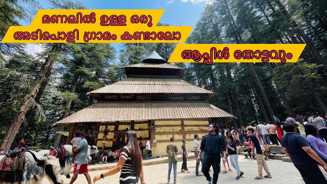മണാലിൽ ഉള്ള ഒരു അടിപൊളി ഗ്രാമം പിന്നെ ആപ്പിൾ തോട്ടവും 😜🔥#himachalpradesh #manali